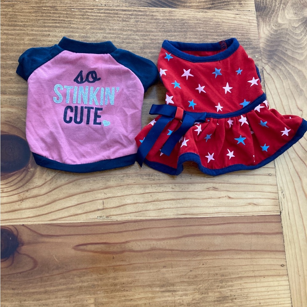 Martha Stewart Pink and Red Kids Shirt and Dress Set